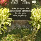 Leipzig-Südfriedhof - Lene Voigt