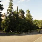 Leipzig-Südfriedhof - Osttor/Völkerschlachtdenkmal