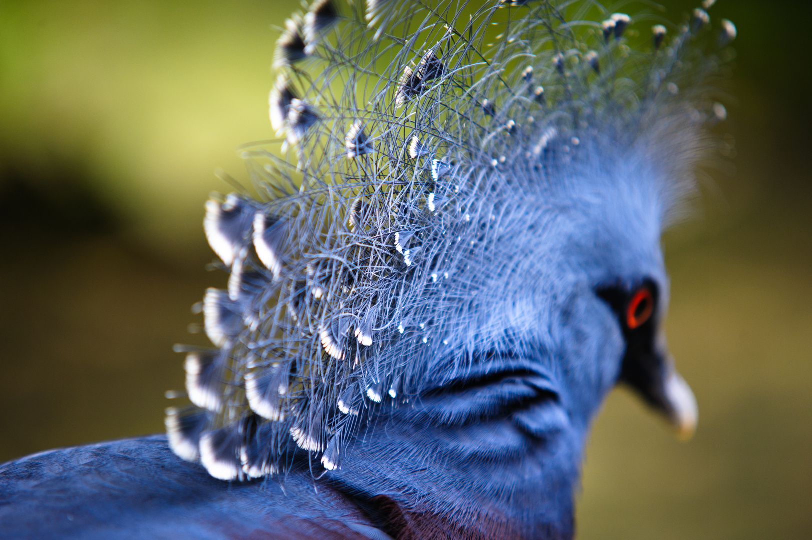 Leipzig Zoo