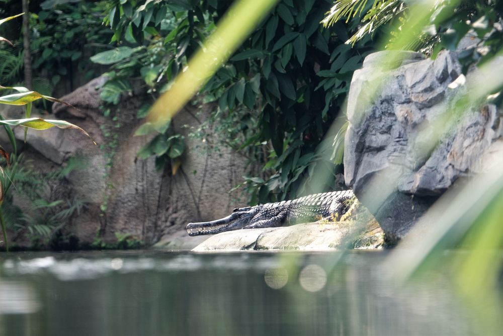 Leipzig Zoo 