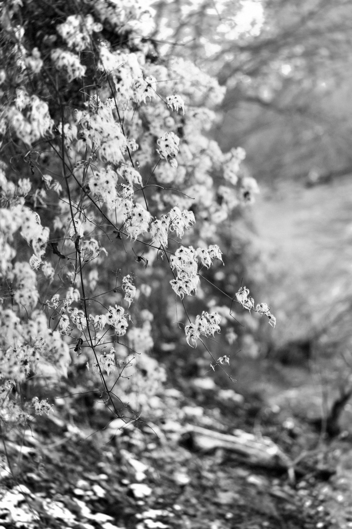 Leipzig zwischen Winter und Frühling 