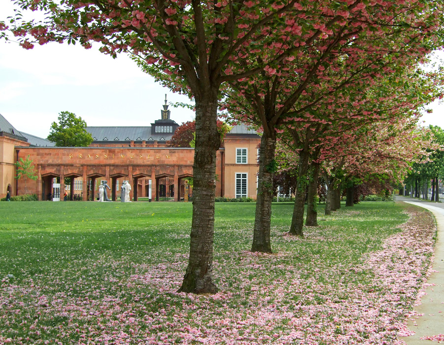 Leipziger Allerlei