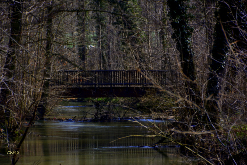 leipziger auewald