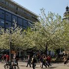 Leipziger Frühling