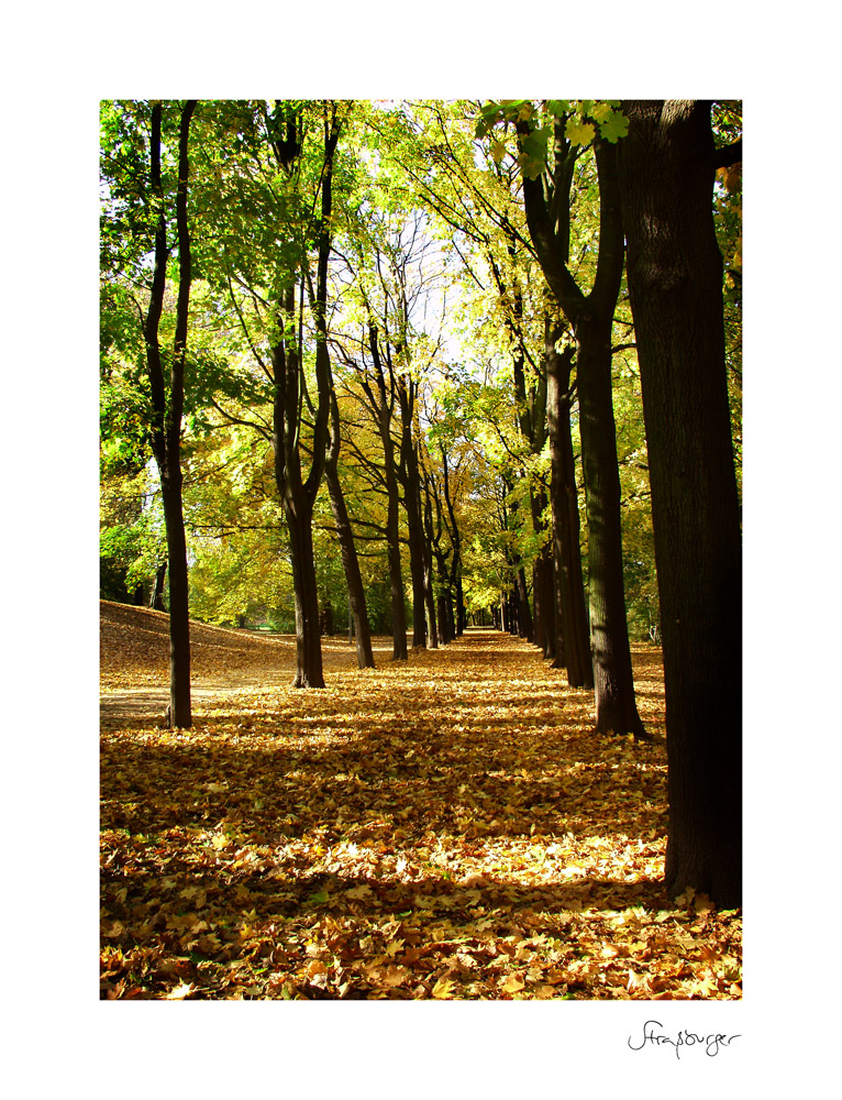 Leipziger Herbst