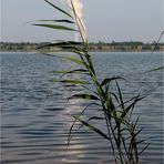 Leipziger Seenland