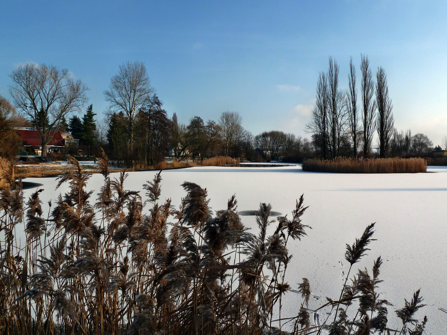 Leipziger See(Teich b. Zörbig)