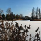 Leipziger See(Teich b. Zörbig)