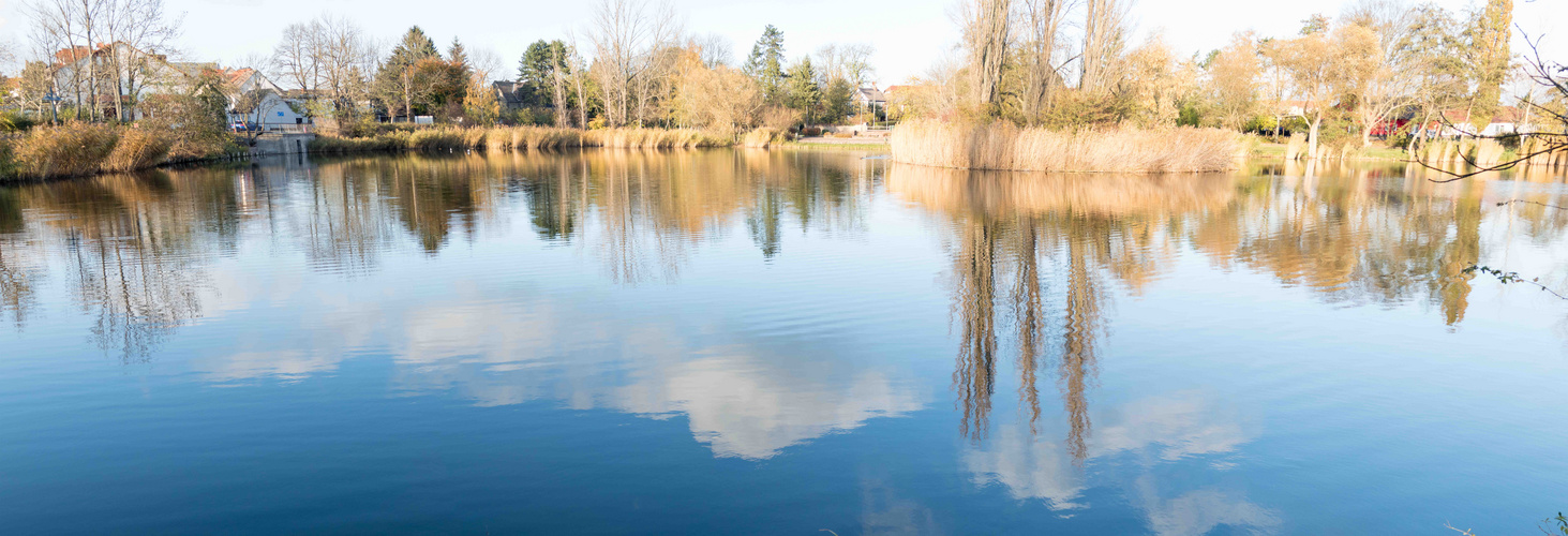 Leipziger Teich in Zörbig