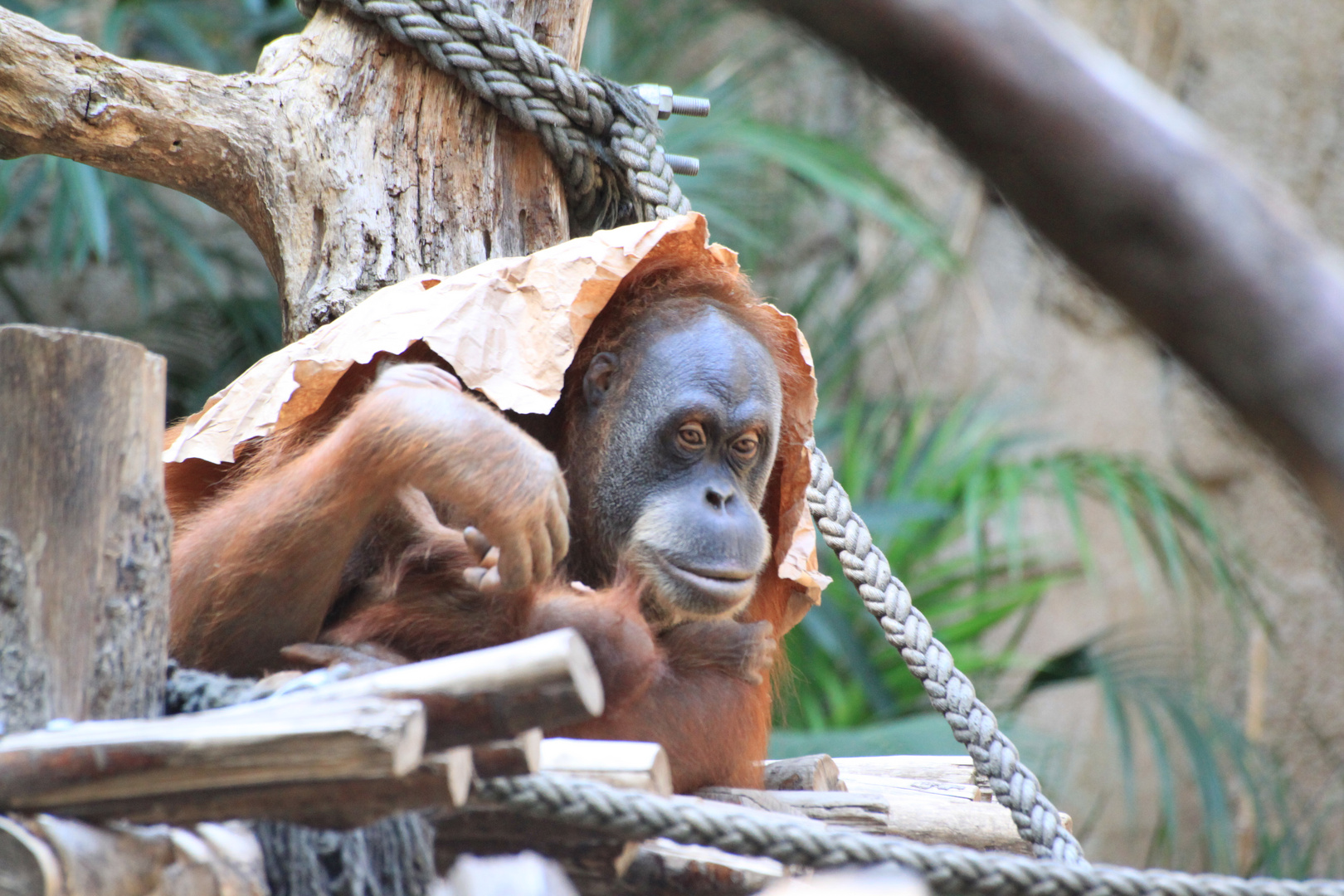 Leipziger Zoo