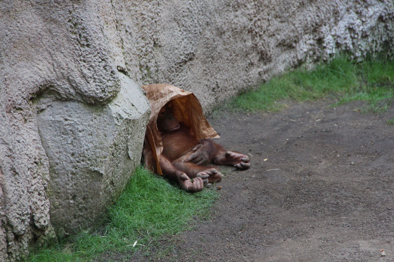 Leipziger ZOO