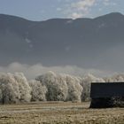 Leise ganz leise, schleicht sich Väterchen Frost in die Natur.