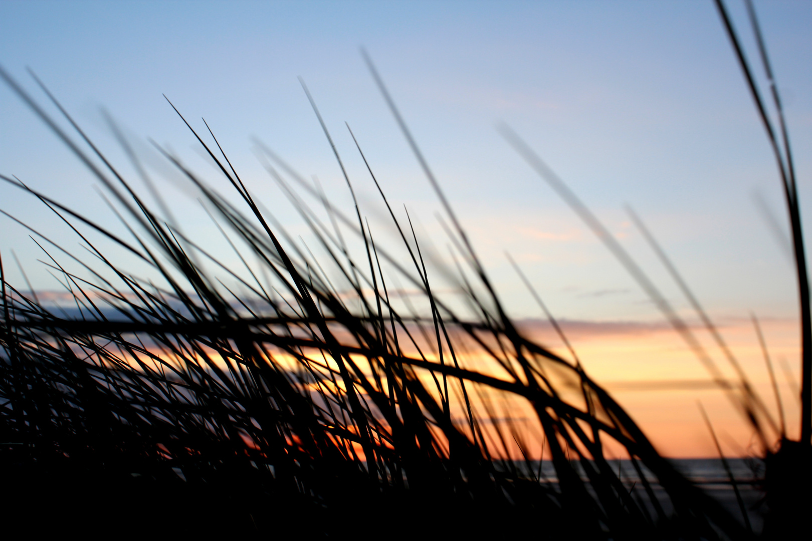 Leise rauscht das Meer hinter den Dünen