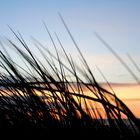 Leise rauscht das Meer hinter den Dünen