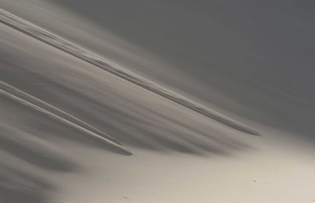 Leise rieselt der Sand - Ripples of dune sand