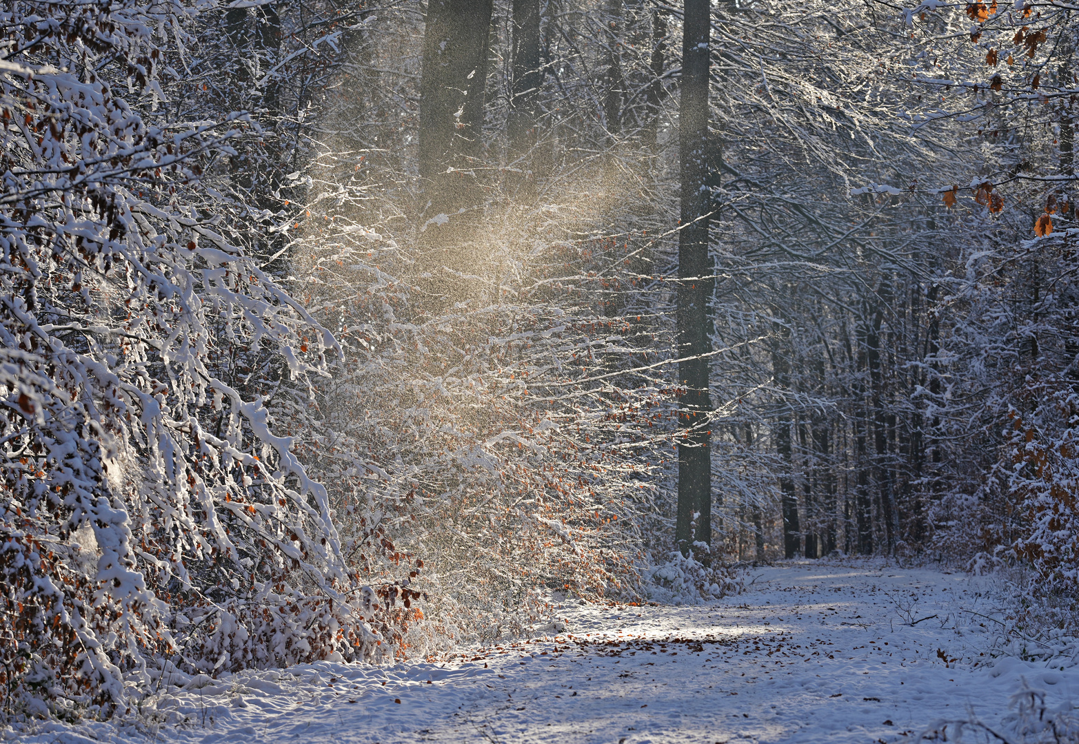 Leise rieselt der Schnee..