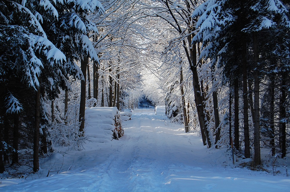 Leise rieselt der Schnee