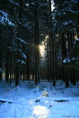 Leise rieselt der Schnee