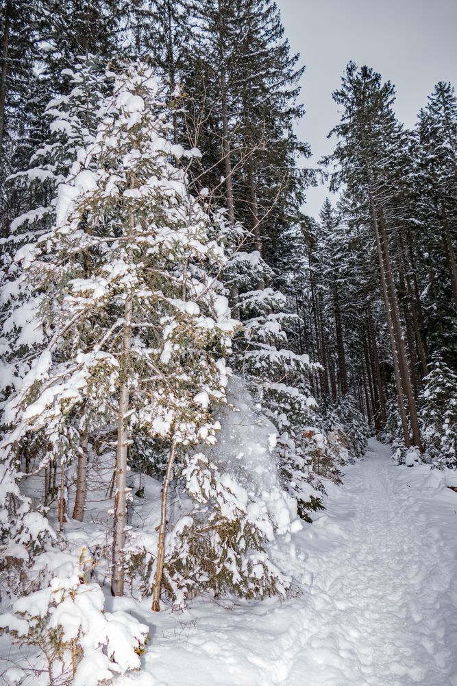 Leise rieselt der Schnee