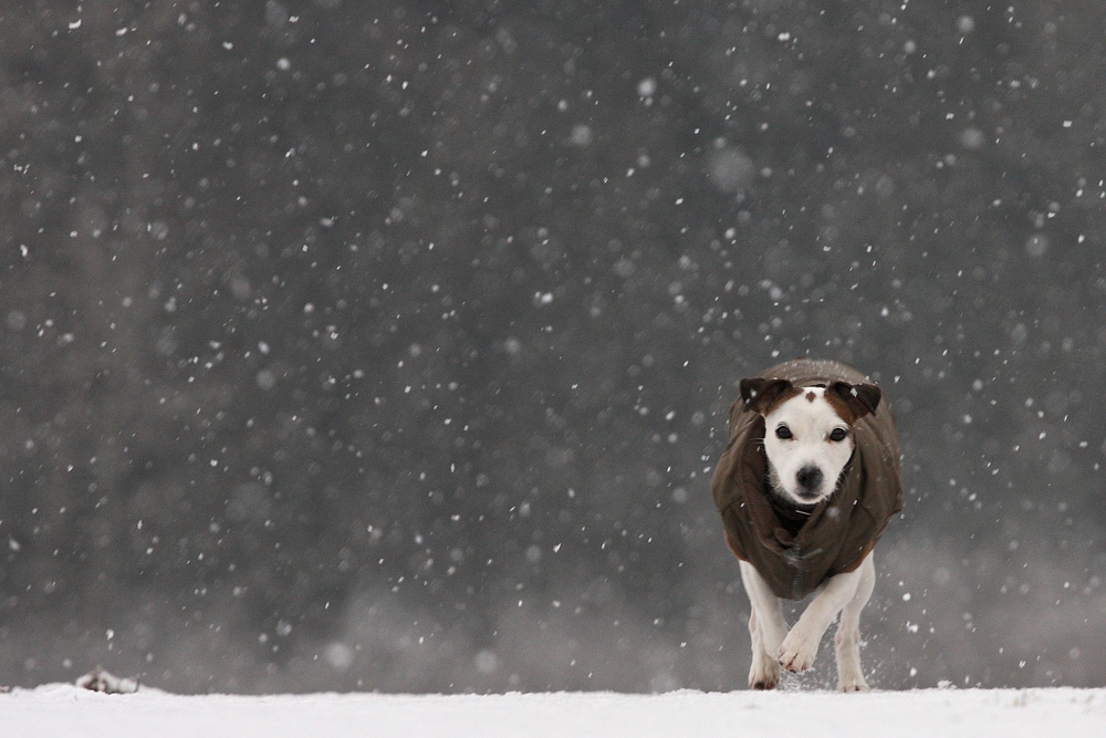 Leise rieselt der Schnee......