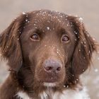 Leise rieselt der Schnee 