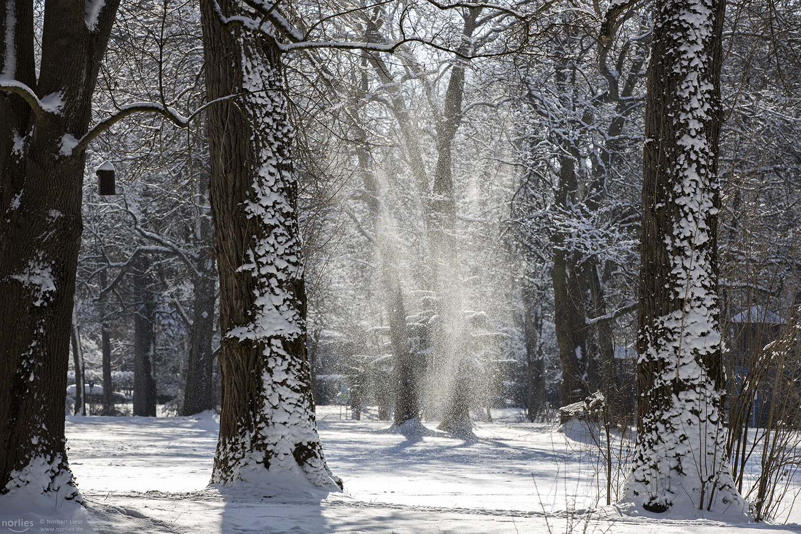 Leise rieselt der Schnee