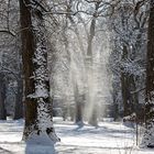 Leise rieselt der Schnee