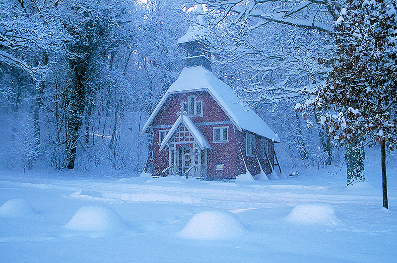 Leise rieselt der Schnee... Foto & Bild | jahreszeiten ...