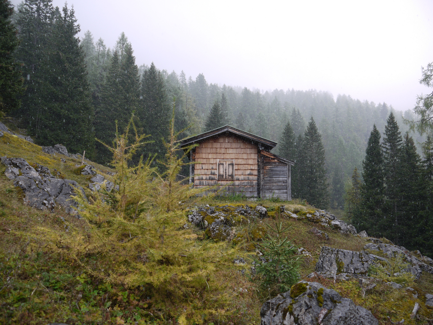 Leise rieselt der Schnee