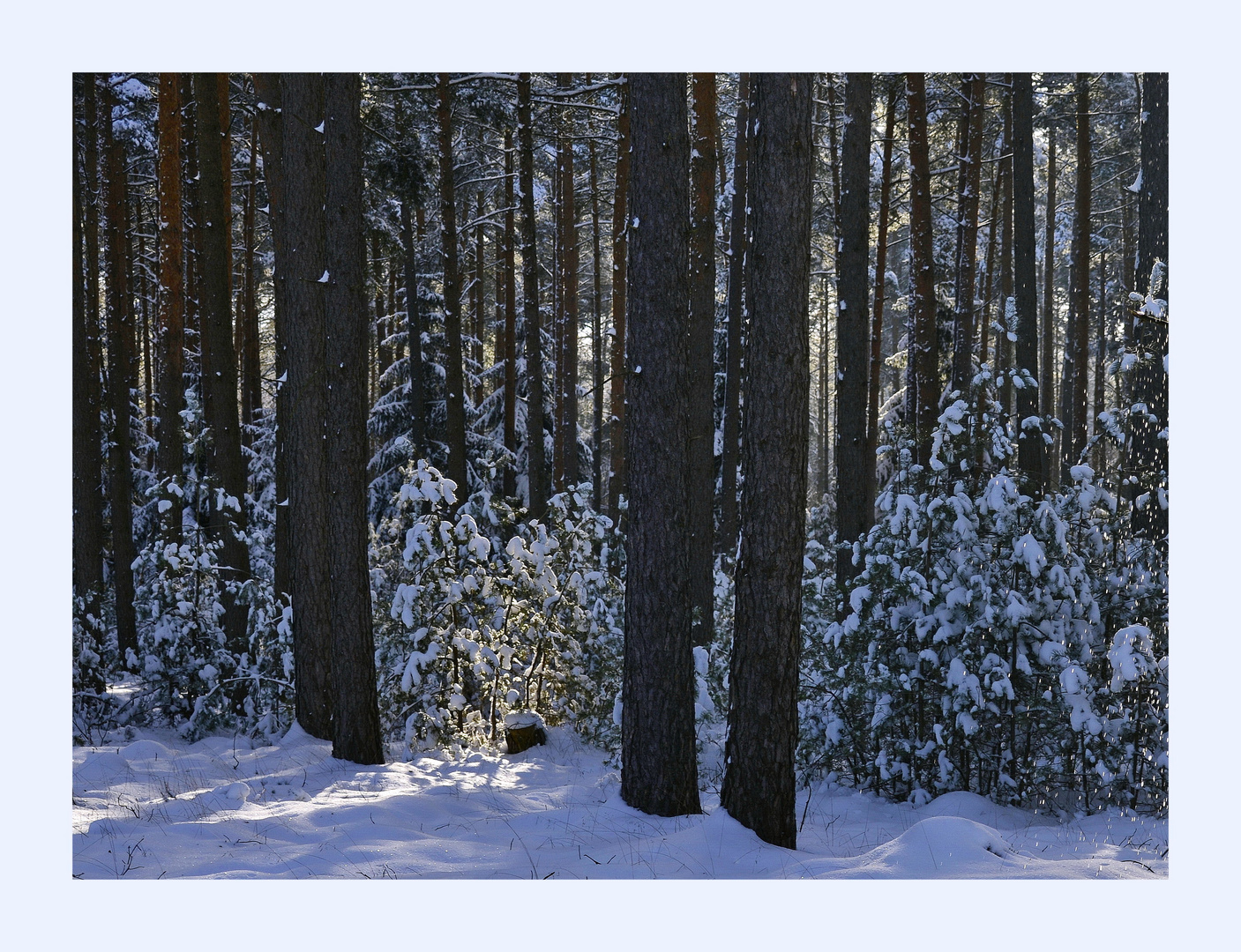 °Leise rieselt der Schnee°