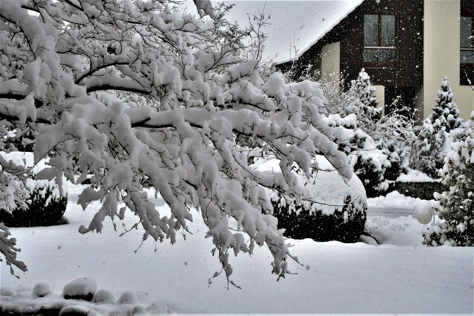 Leise rieselt der Schnee