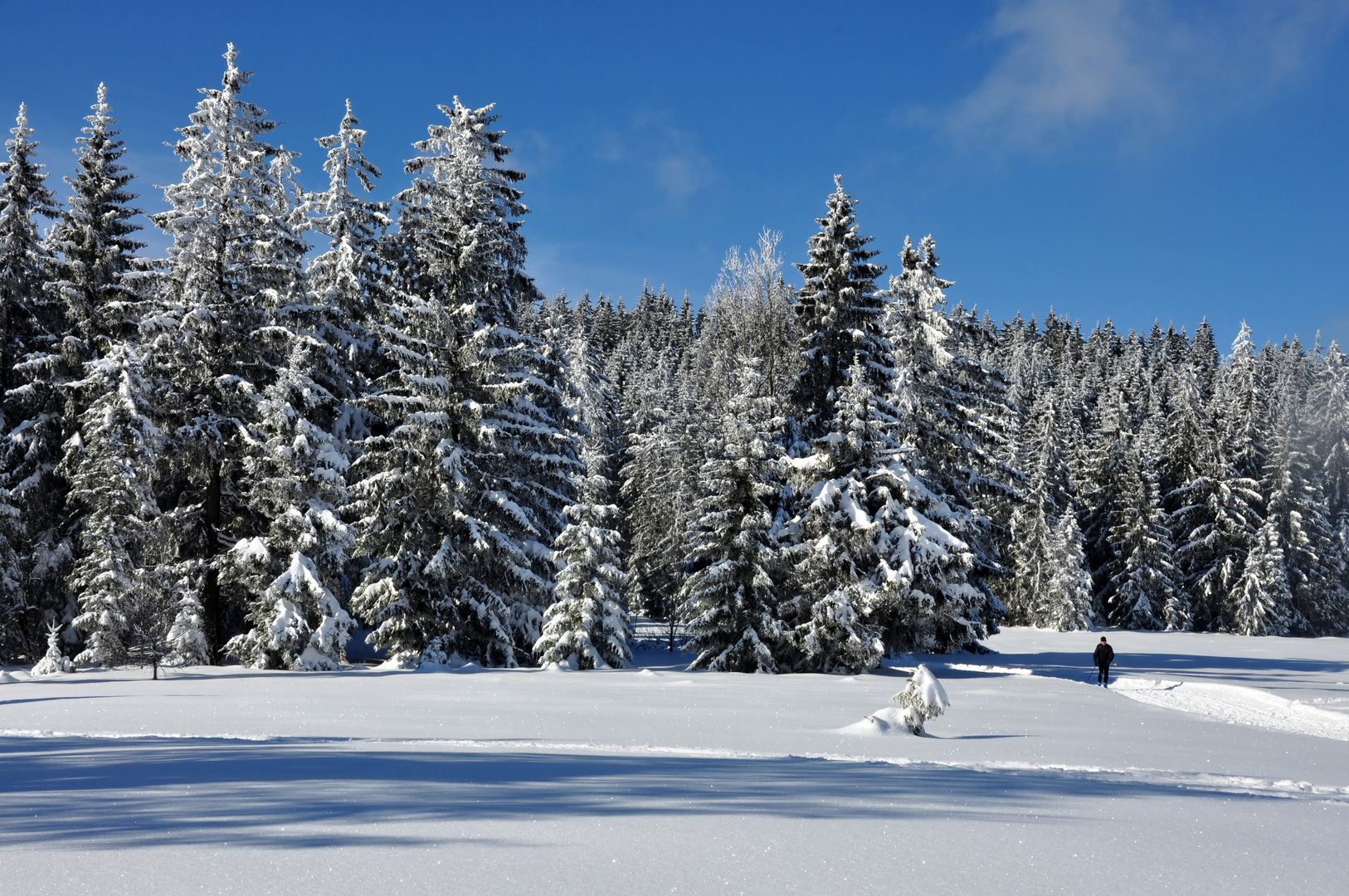 Leise rieselt der Schnee