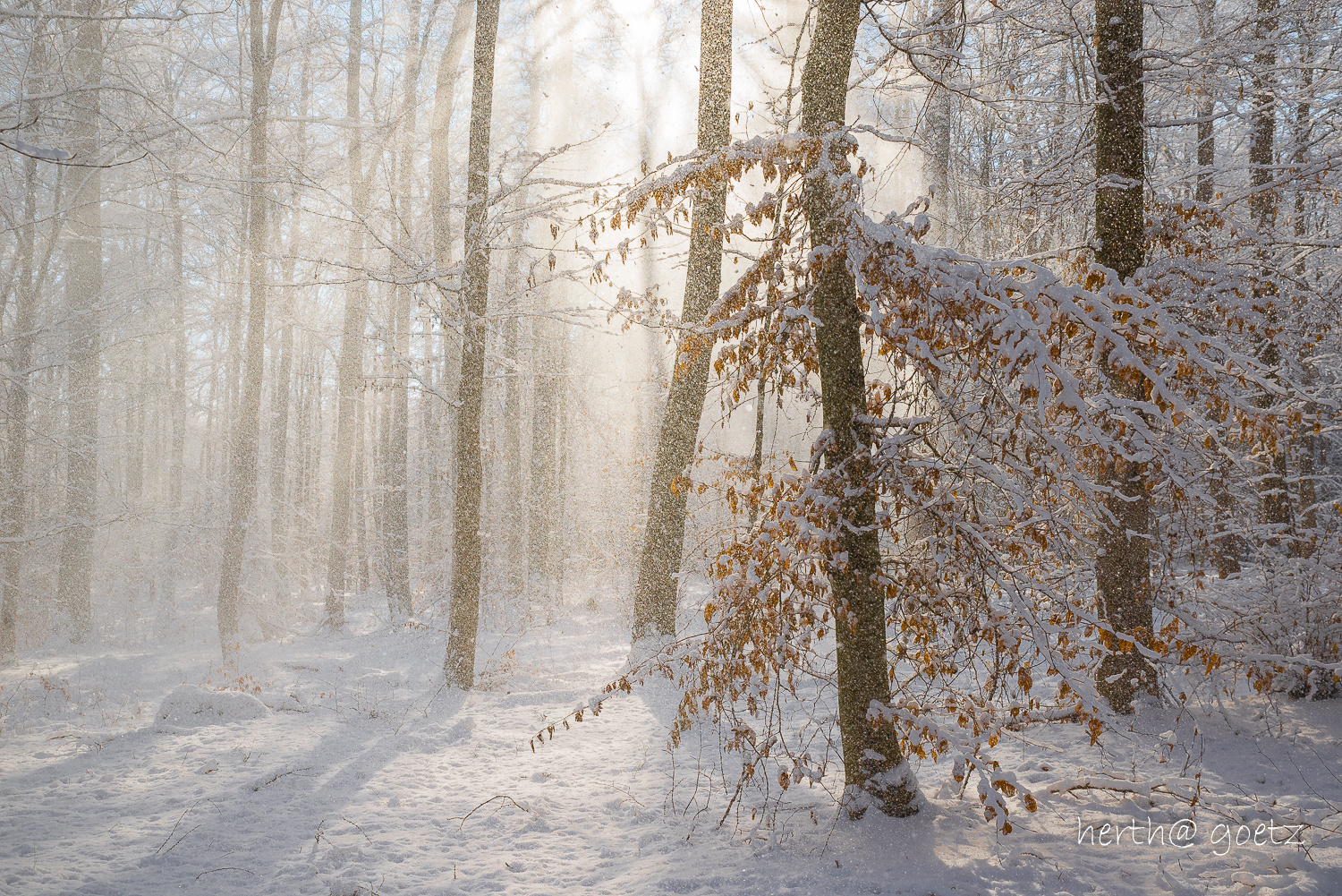 Leise rieselt der Schnee...