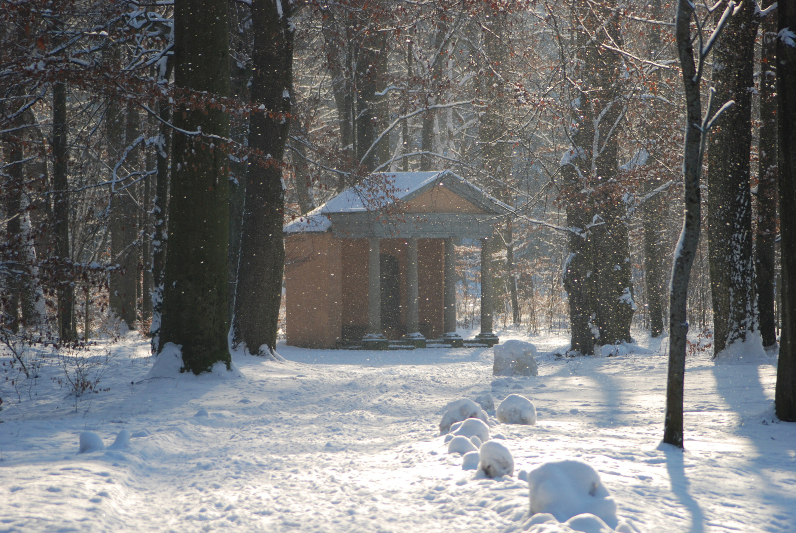 Leise rieselt der Schnee... Im Hain in Bamberg