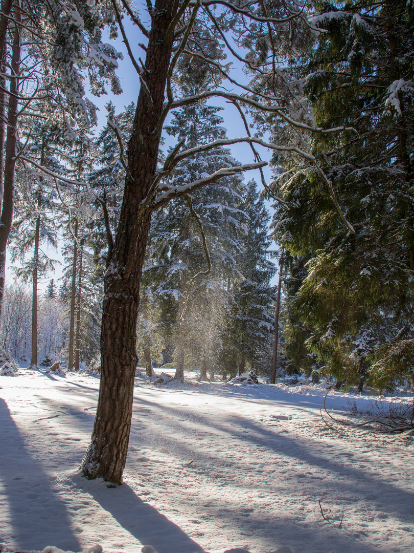 Leise rieselte der Schnee...