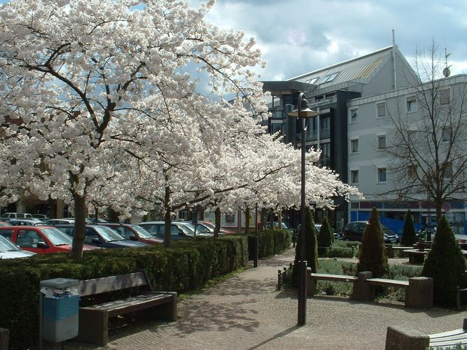 leise rieselts im Frühling