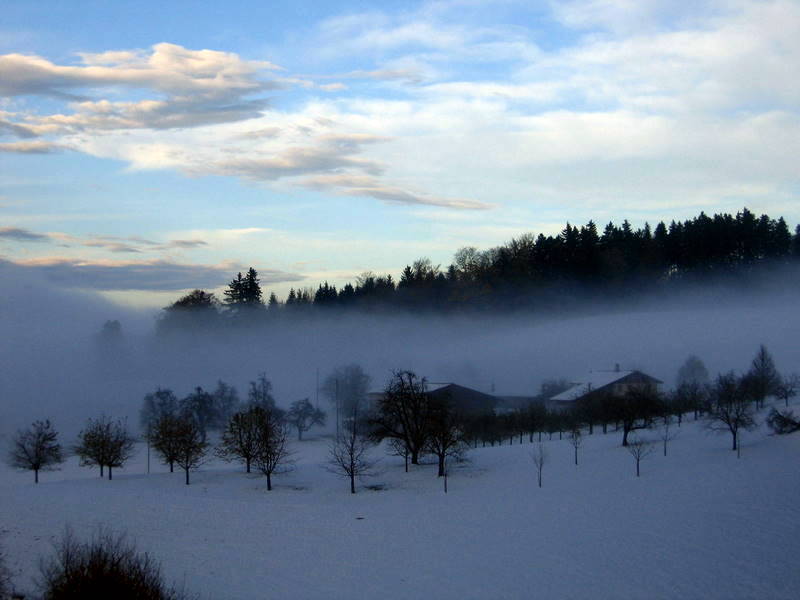 Leise schleicht der Nebel ins Tal