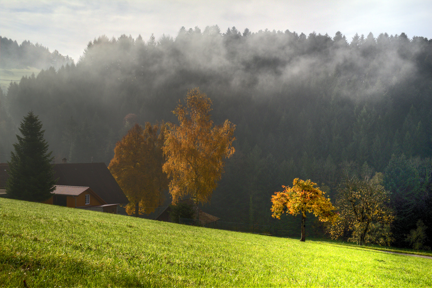 Leise schwebt der Nebel... von Robert Schwendemann 