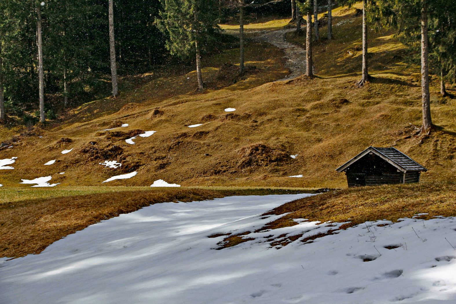 Leise schwindet der Schnee