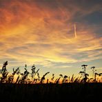 Leise sinkt der Abend nieder