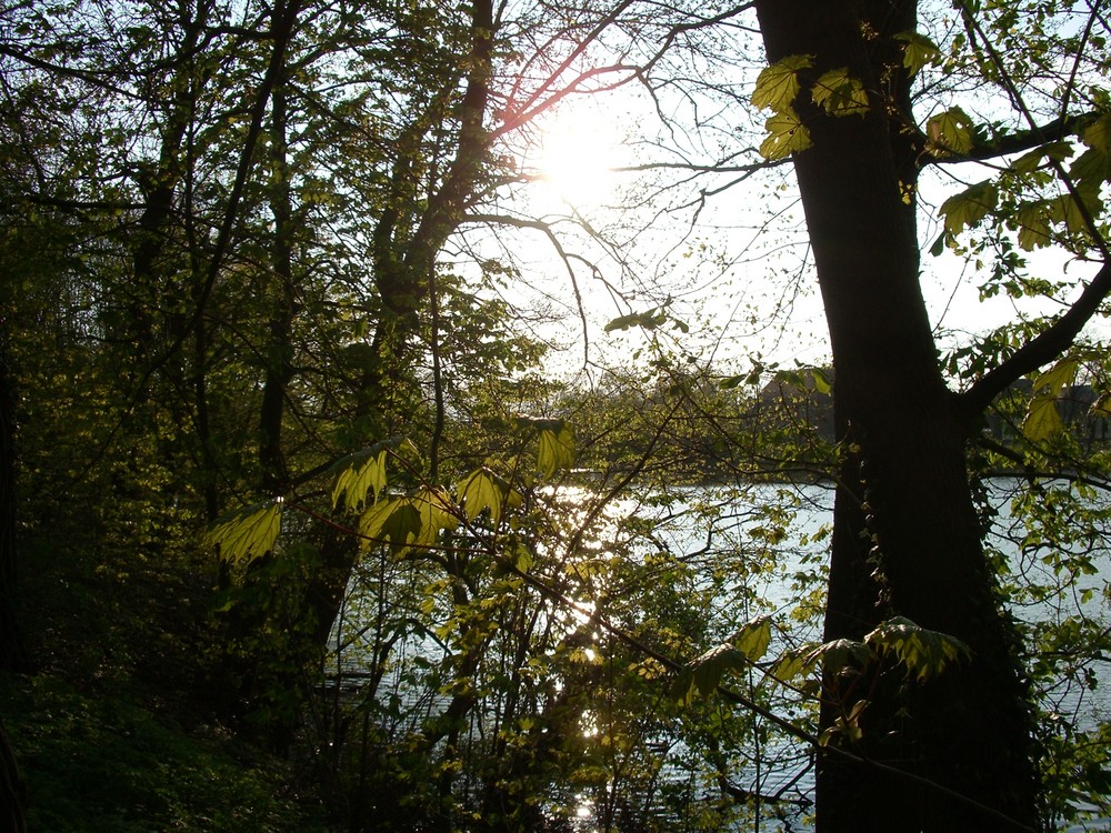 leiser Frühling