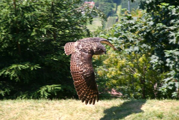 Leiser gehts nicht...