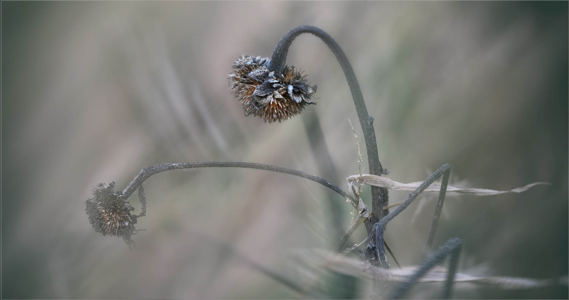 leiser Herbstwind ...