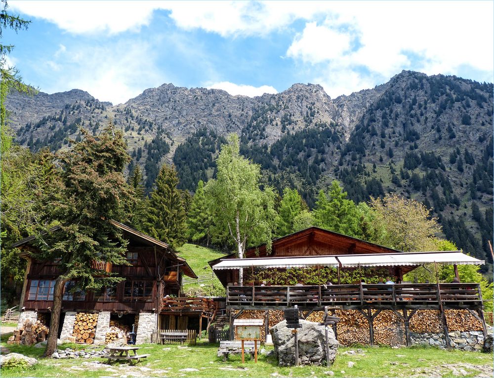 LEITERALM MIT DER TEXELGRUPPE IM HINTERGRUND