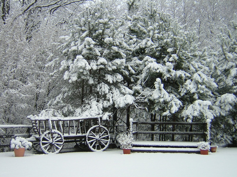 Leiterwagen im Schnee