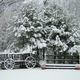 Leiterwagen im Schnee