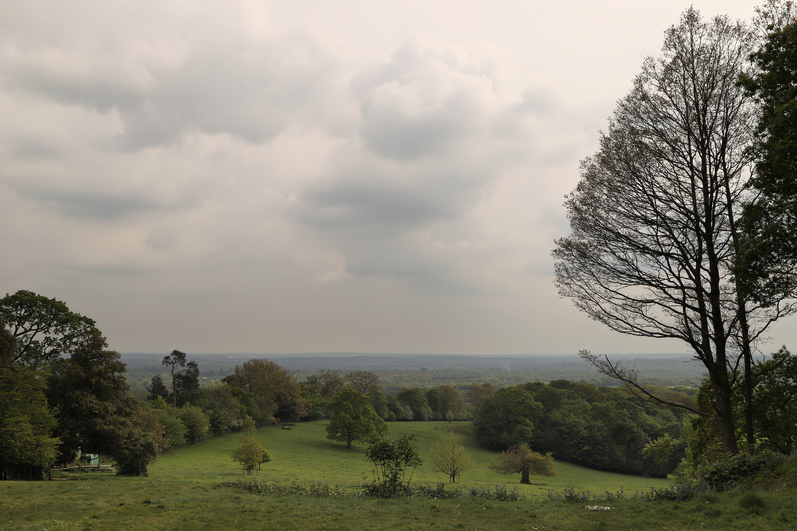 Leith Hill Place (2019_05_01_EOS 6D Mark II_1864_ji)