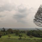 Leith Hill Place (2019_05_01_EOS 6D Mark II_1864_ji)