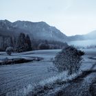 Leitzachtal im Morgennebel