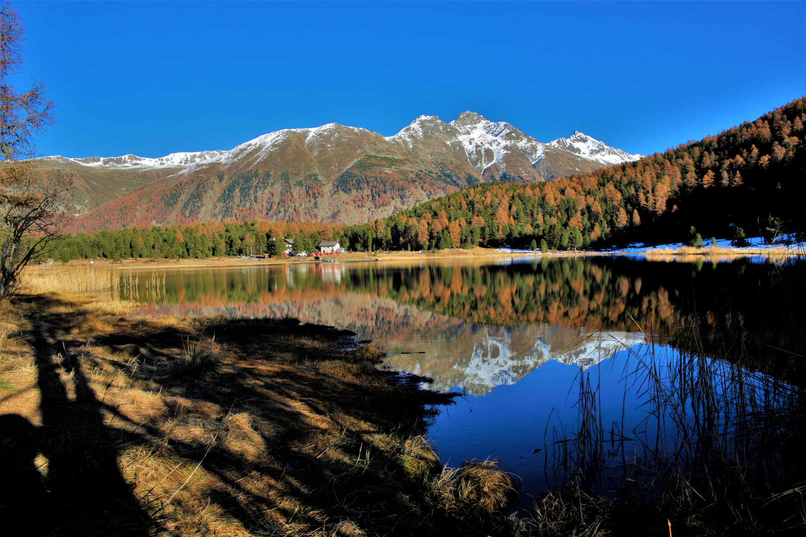 Lej da Staz = Stazersee 